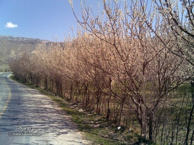 طبیعت ایلام