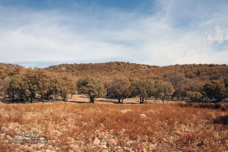 پاییز هزار رنگ - دره ارغوان