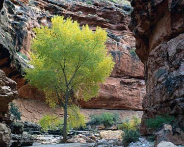 طبیعت استان ایلام
