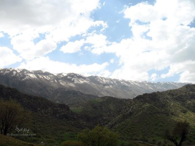 طبیعت کلم  (  KOLM )