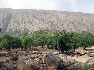 دربند بدره