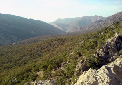 دره ارغوان