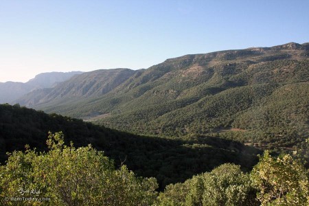 گاوس - گچان