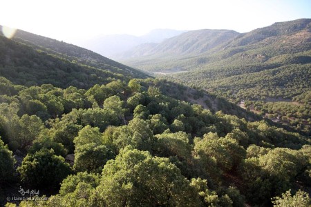 دره ارغوان (Arghawan Valley)