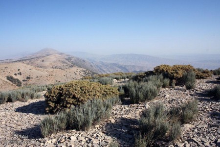 کبیر کوه