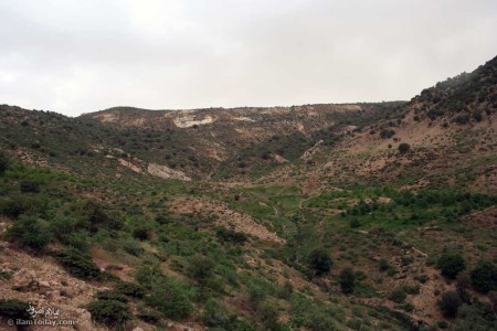 گچان
