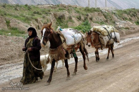 عشایر کوچ رو