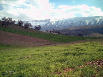   طبیعت زیبای بدره 