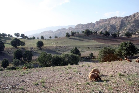 چنار باشی - کوهپایه کبیرکوه