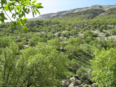 دامنه کبیرکوه