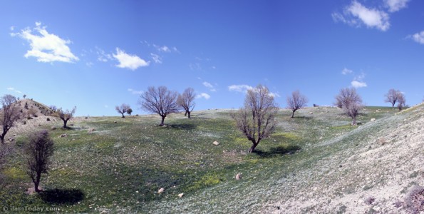 طبیعت میشخاص