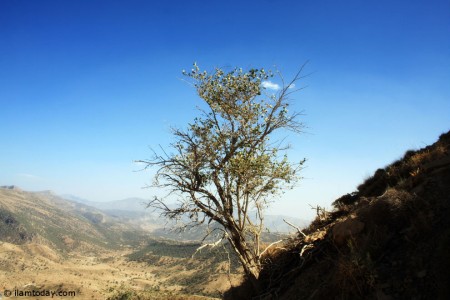 طبیعت ایلام