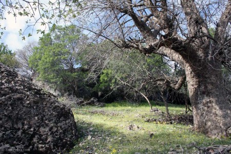 کبیر کوه - کرمنجاو