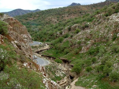 تنگ رازیانه