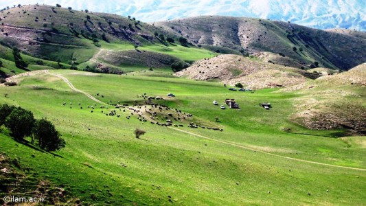 چما - نزدیک صالح آباد