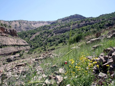 دره ویژدرون