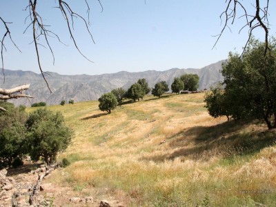 کبیر