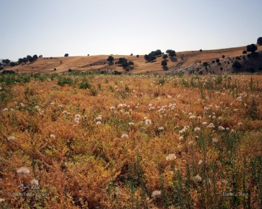 ایلام