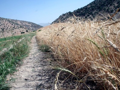 چشمه