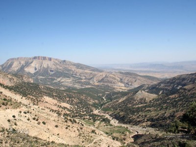 مانشت