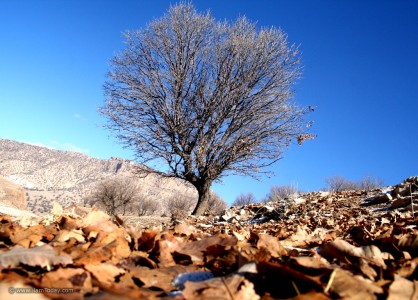 طبیعت ایلام
