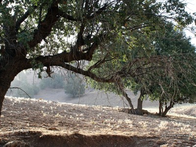 کبیرکوه