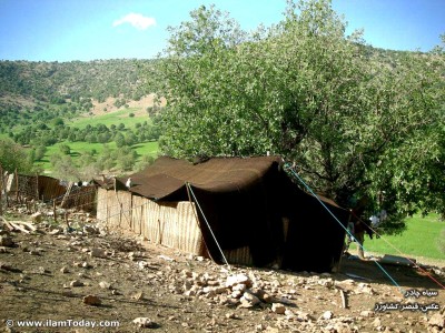 سیاه چادر