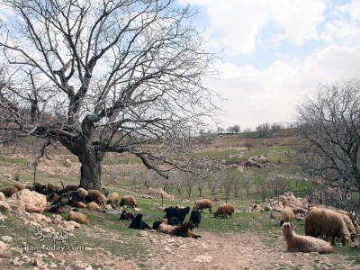 روستای طولاب