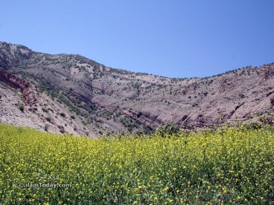 نزدیکی سد ایلام