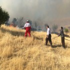 ایجاد اولین گشت هوایی پایش جنگل و مرتع در ایلام